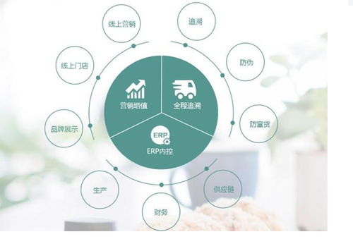 食品货源追溯系统与防窜货溯源 全国315产品防伪查询中心的信息咨询指南